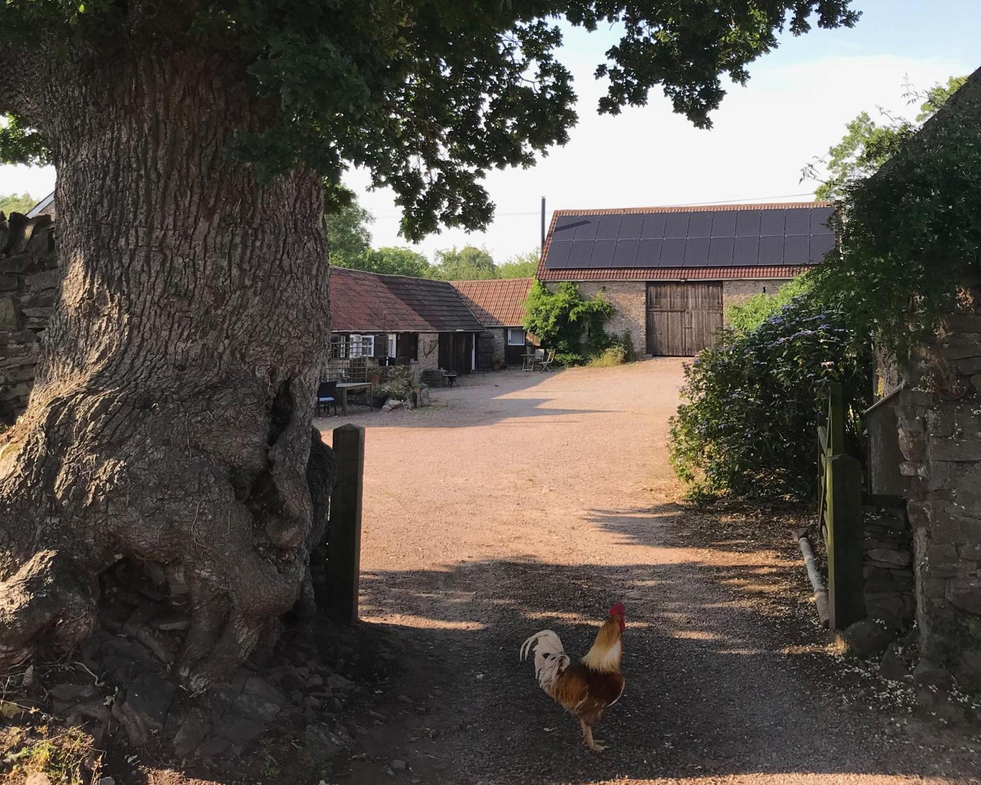 Cosy Stable At Oak Farm Apartment Usk