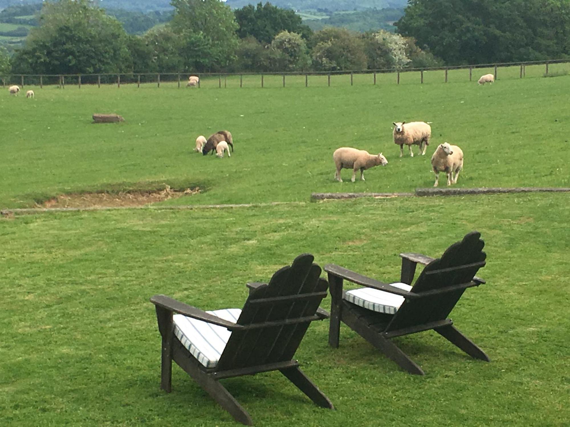 Cosy Stable At Oak Farm Usk